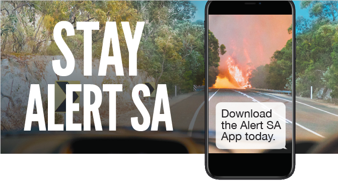 Stay Alert SA Flyer graphic
